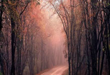 多多28：中乙第2轮观众人数：泰山B队主场8113人最多，仅4场人数过千.