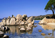 多多28：光速下班！“莎头”3-0法国组合，混双3连胜人民日报微博.